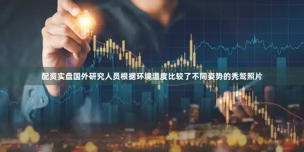 配资实盘国外研究人员根据环境温度比较了不同姿势的秃鹫照片