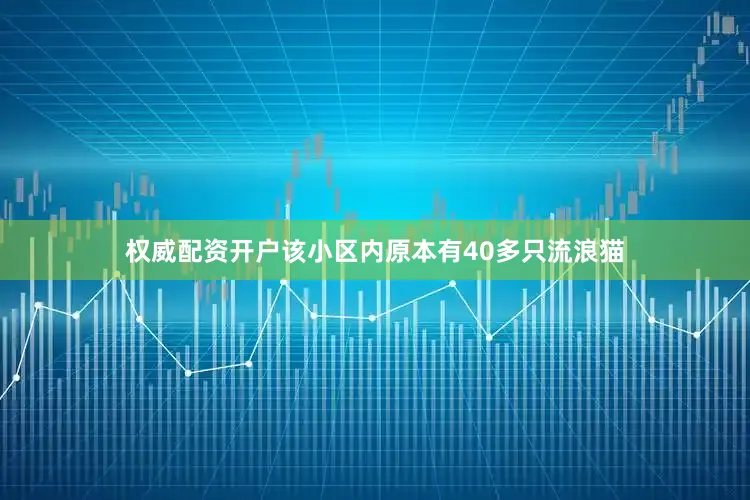 权威配资开户该小区内原本有40多只流浪猫