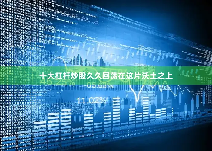 十大杠杆炒股久久回荡在这片沃土之上