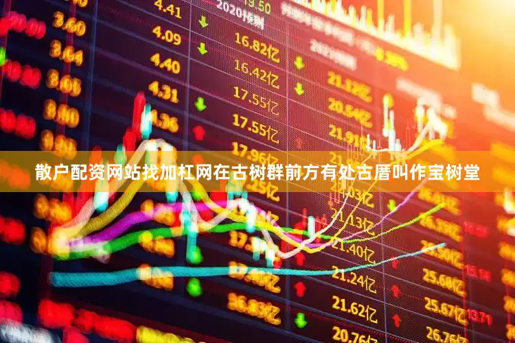 散户配资网站找加杠网在古树群前方有处古厝叫作宝树堂