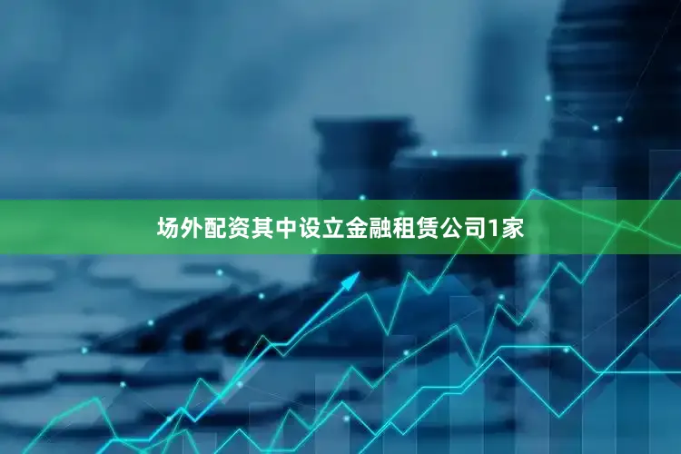 场外配资其中设立金融租赁公司1家