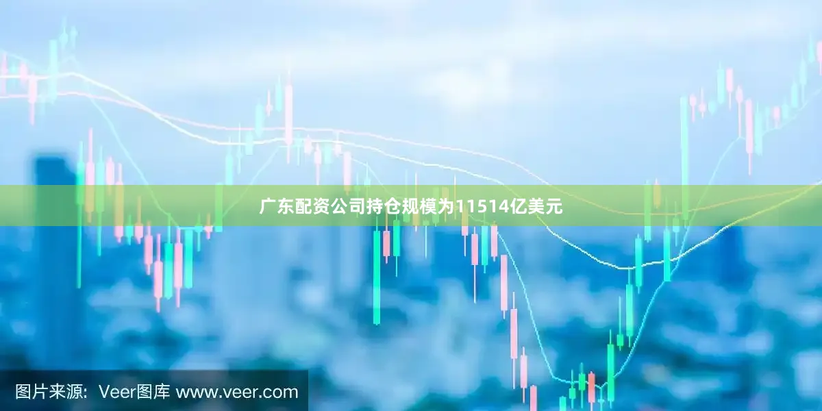 广东配资公司持仓规模为11514亿美元