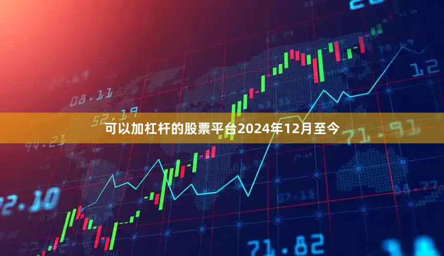 可以加杠杆的股票平台2024年12月至今