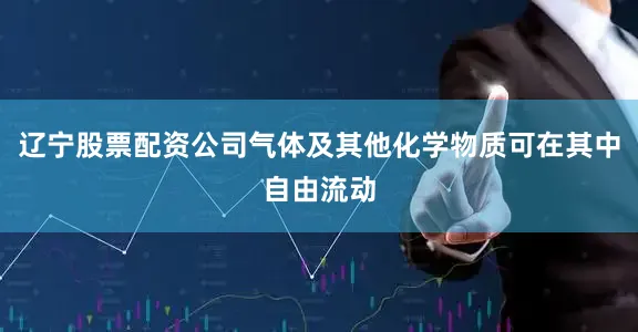 辽宁股票配资公司气体及其他化学物质可在其中自由流动